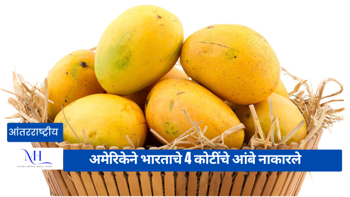 Indian Mango Export
