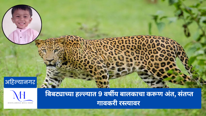 leopard attack बिबट्या हल्ला