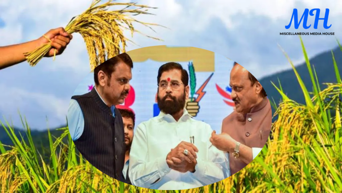 Crop Insurance