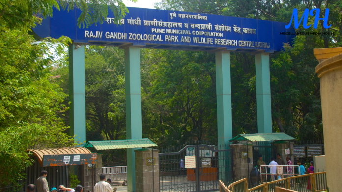 Rajiv Gandhi Zoological Museum