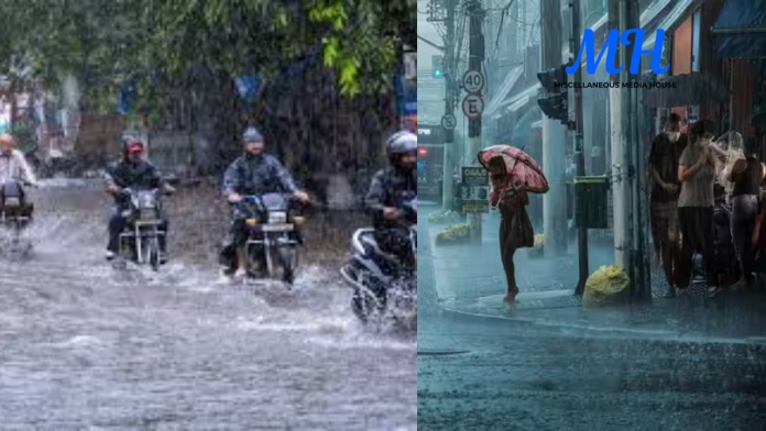 IMD Rain Alert
