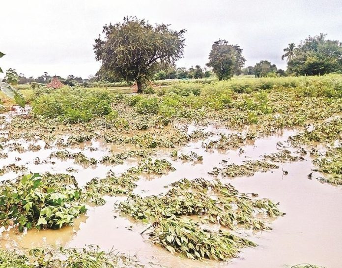 Maharashtra Farmers