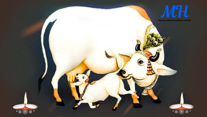 Vasubaras Festival 2025 