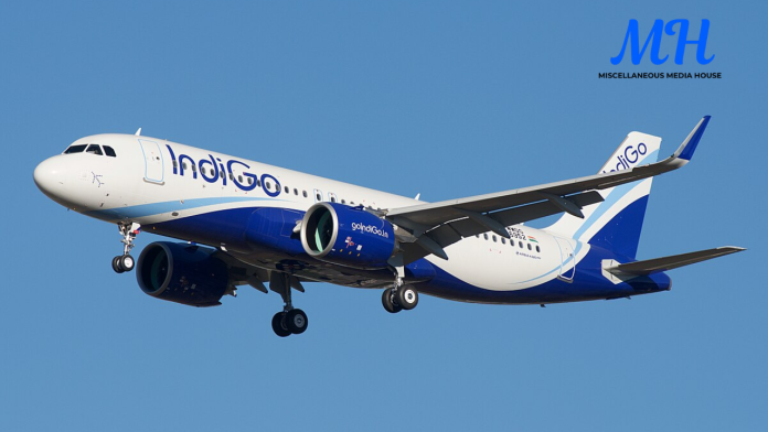 Indigo Flights Issues